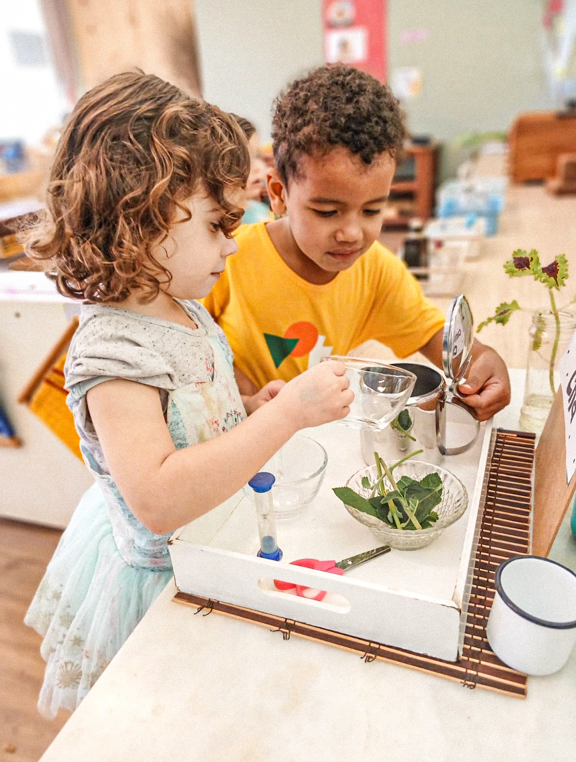 Exploração científica e curiosidade